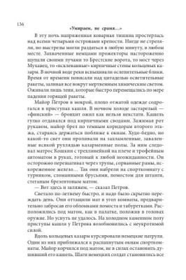 Н.Черкашин. Брестские врата
