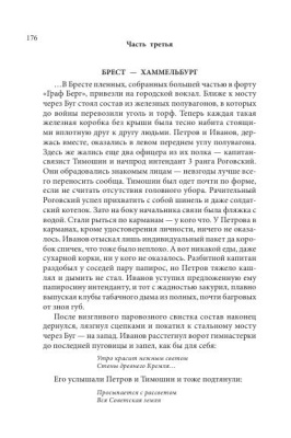 Н.Черкашин. Брестские врата